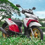 1 Day Honda PCX 150 CC Rental for 24 hours At Siem Reap Scooter - The Rental Experience: What’s Included?