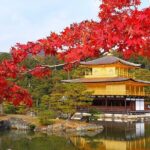 1 Day Kyoto UNESCO World Heritage Sites Bus Tour - Practical Details and Considerations