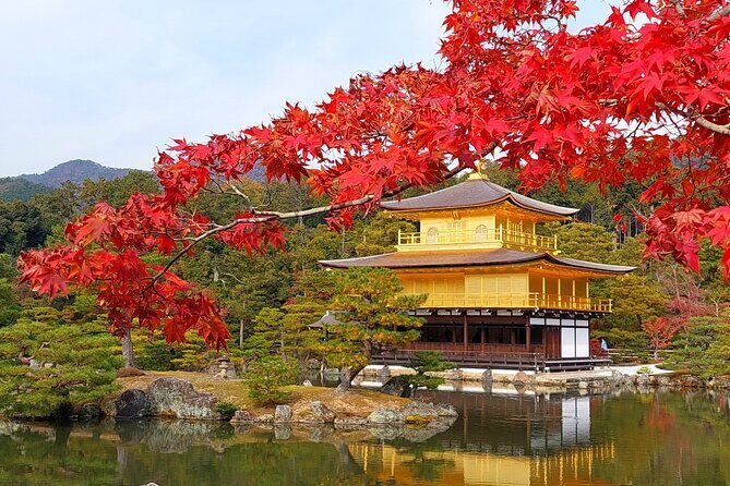 1 Day Kyoto UNESCO World Heritage Sites Bus Tour - Practical Details and Considerations