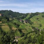 1-Day Longji Rice Terraces hiking tour from Guilin/Yangshuo hotel - Who Should Consider This Tour?