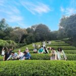 1 Day Matcha Farm Tour with Lunch and Bicycle Rental in Kyoto - What’s Included and What to Expect