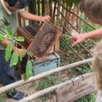 1-Day Northern Islands & Kayak Experience Tour - Transportation, Group Size, and Other Practicalities