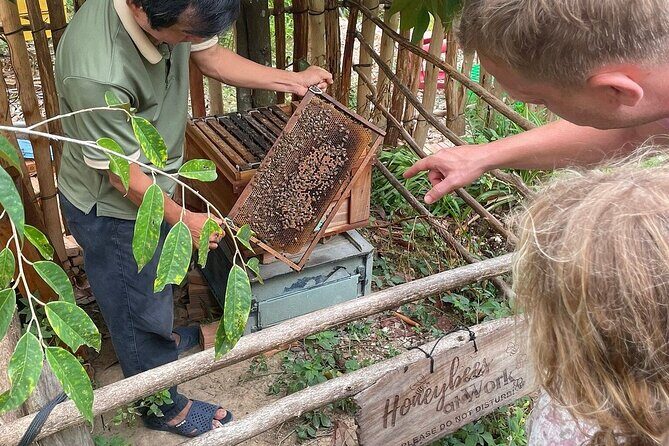 1-Day Northern Islands & Kayak Experience Tour - Transportation, Group Size, and Other Practicalities