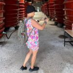 1 Day Phu Quoc Island Private Tour North and South Discover - Overall Experience and Value