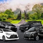 1-Day Private Bali Car Transfer With Experienced Driver - Real-Life Experiences That Highlight the Tour
