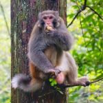 1-Day Private Tour to Tianmen Mountain & Furong Town Night Light - The Charm of Furong Ancient Town