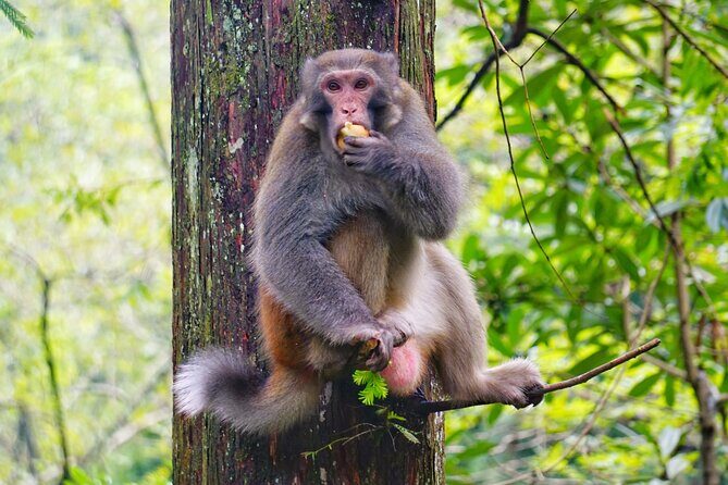 1-Day Private Tour to Tianmen Mountain & Furong Town Night Light - The Charm of Furong Ancient Town