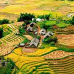 1 Day Sapa Trekking To Lao Chai and Ta Van Village - Highlights of the Experience