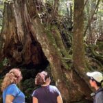 1 Day Shiratani Unsuikyo Adventure - Analyzing the Value