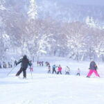 1 Day Ski Tour Package from Sapporo Station - The Itinerary: What to Expect