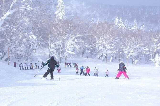 1 Day Ski Tour Package from Sapporo Station - The Itinerary: What to Expect