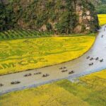 1 Day Small Group Tour in Ninh Binh from Hanoi - What Makes This Tour Stand Out?