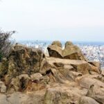 1 Day Tour in Sapporo Mt Maruyama Hike and Okurayama Ski Jump - Authentic Experiences and Practical Details