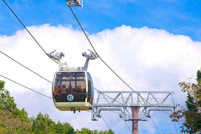 1 Day Tour to Mt. Fuji and Hakone from Tokyo - What Travelers Say