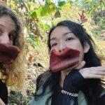 1 Day Trekking Walk Only - The Itinerary Unpacked: A Day in Nature and Culture