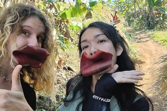 1 Day Trekking Walk Only - The Itinerary Unpacked: A Day in Nature and Culture