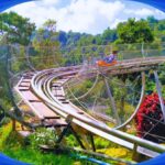 1-Day Trip: Chiang Mai to Mon Jam Adventure. - What to Expect from the Itinerary