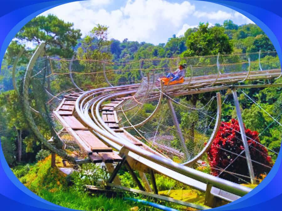 1-Day Trip: Chiang Mai to Mon Jam Adventure. - What to Expect from the Itinerary