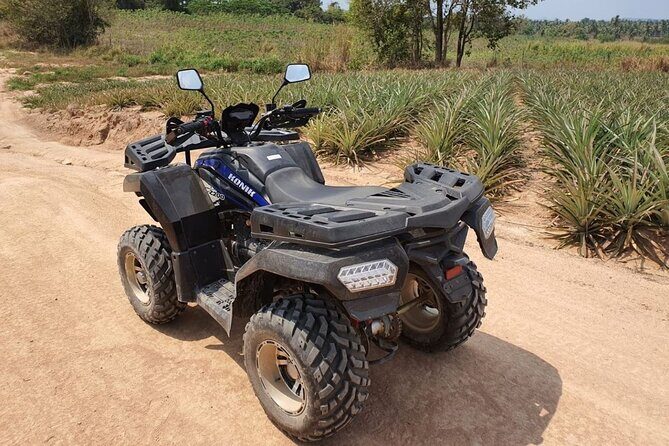 1 Hour ATV Off Road Adventure In Pattaya - Who Should Book This Experience?