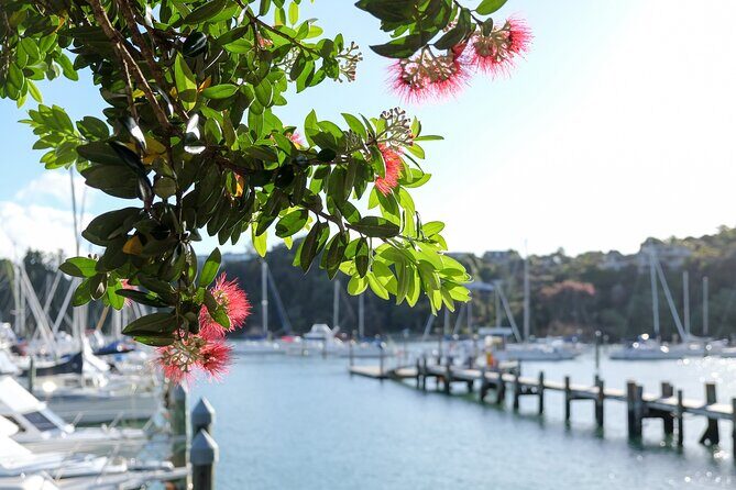 1 Hour Scenic Bay of Islands Tour - Exploring the Bay of Islands in Just An Hour