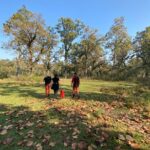 1 Night 2 Days Chitwan Jungle Safari Tour from Pokhara or Kathmandu - Authentic Insights from Past Travelers