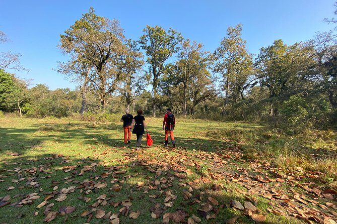 1 Night 2 Days Chitwan Jungle Safari Tour from Pokhara or Kathmandu - Authentic Insights from Past Travelers