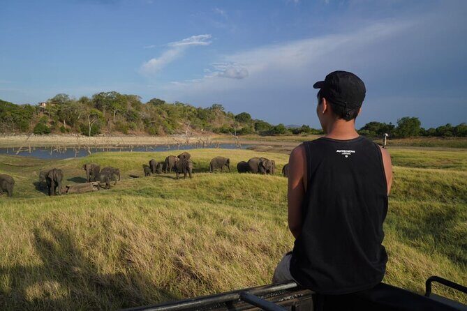 10 Days 5 Star Package Sri Lankas Best Seller - Who Will Love This Tour?