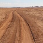 10 Days Gobi Desert and Express Mongolia - Practical Aspects and Value