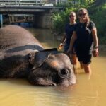 10 Days in Paradise Sri Lanka with an Expert Tour Driver - Who is this tour best for?