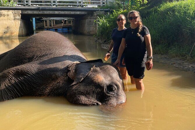 10 Days in Paradise Sri Lanka with an Expert Tour Driver - Who is this tour best for?