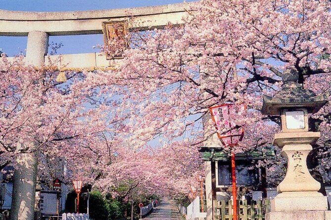 10 Days Japan Family Private Tour - Who Is This Tour Best Suited For?