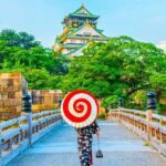 10 Hours Chartered day Tour in Osaka Japan - Who Will Love This Tour?