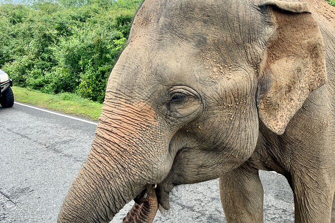 10 Nights 11 Days Sri Lanka, All Inclusive Private Guided Tour - Why This Tour Works for You