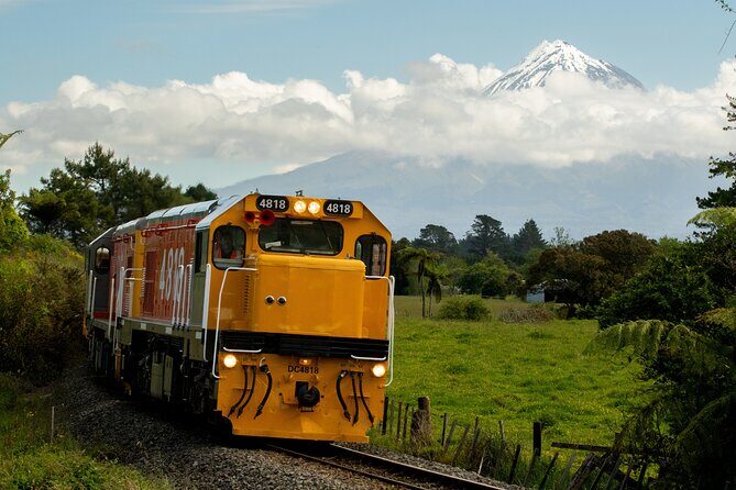11 Day Shared Rail Tour of NZ North Island - Value and Pricing: Is It Worth It?