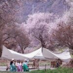 13 Day Nyingchi Peach Blossom Festival Tour - Itinerary Breakdown and Highlights