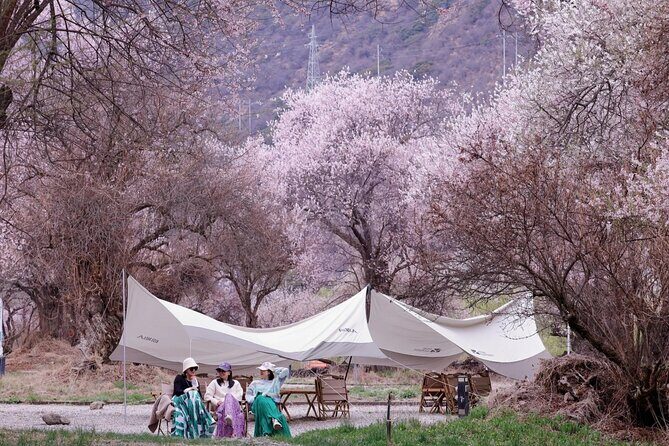 13 Day Nyingchi Peach Blossom Festival Tour - Itinerary Breakdown and Highlights