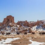 13 Days Ice and Camel Festival 2020 - An In-Depth Look at the 13-Day Mongolia Ice and Camel Festival Tour