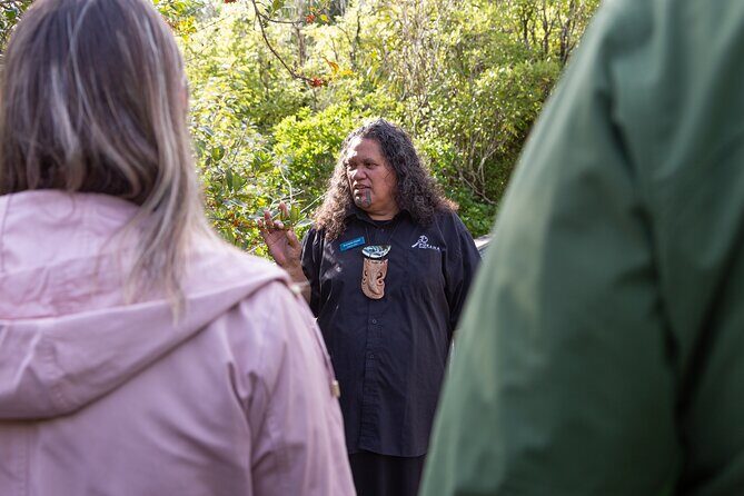 1Hour Guided Tour of Pkaha National Wildlife Centre - The Itinerary in Detail