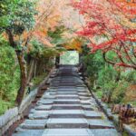 [2.3km/1.43mi] Kyoto Higashiyama Early Morning Walking Tour - Who Would Enjoy This Tour?