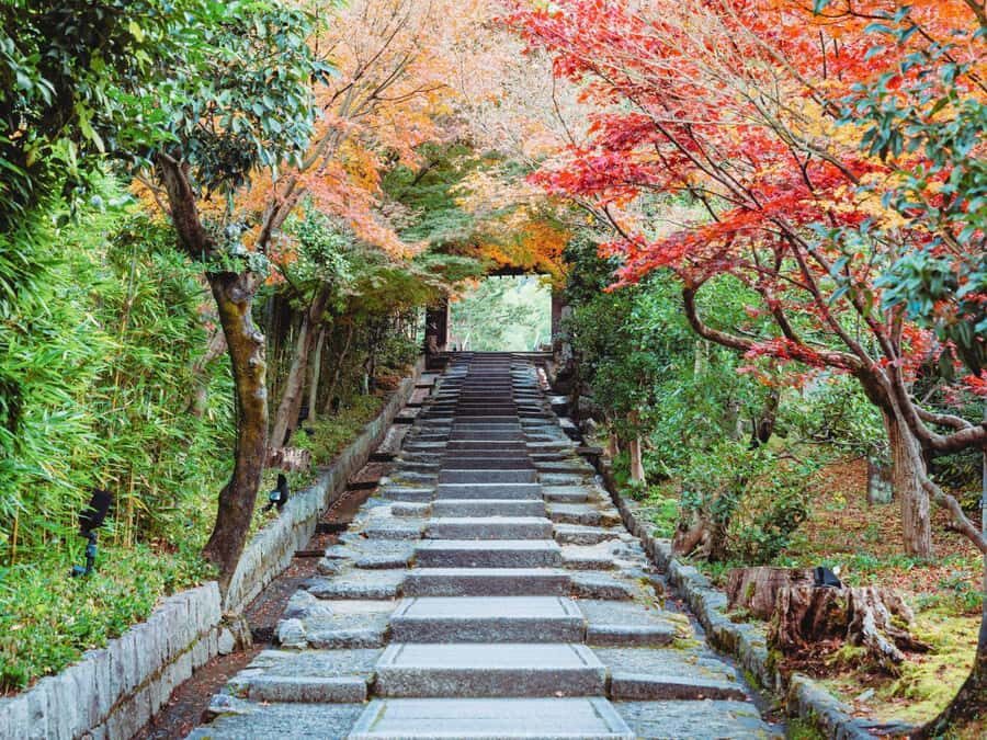 [2.3km/1.43mi] Kyoto Higashiyama Early Morning Walking Tour - Who Would Enjoy This Tour?