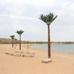 2 Day Aydar Lake Yurt Camping Tour from Bukhara - Exploring the Itinerary in Detail
