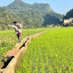 2-Day Ba Be Lake With Boat Trip, Swimming, Kayaking And Cycling - Reviewing the Experience: Authenticity and Value