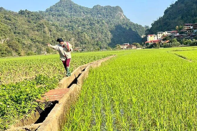 2-Day Ba Be Lake With Boat Trip, Swimming, Kayaking And Cycling - Reviewing the Experience: Authenticity and Value