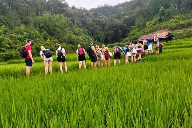 2 Day Chiang Mai Jungle Trek with Hill Tribes and Bamboo Rafting - What Makes This Tour Stand Out?