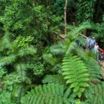 2-Day Daintree & Outback Tour from Cairns & Port Douglas - Practical Details and What to Expect