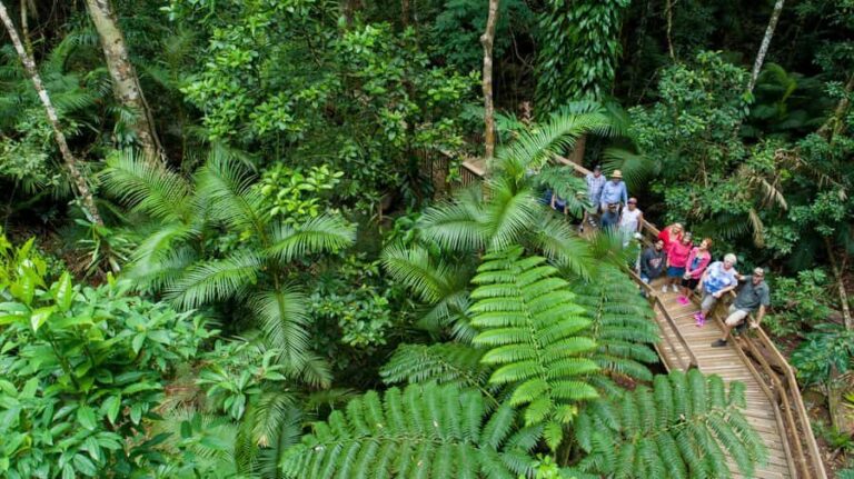 2-Day Daintree & Outback Tour from Cairns & Port Douglas - Practical Details and What to Expect