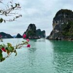 2-Day Guided Bai Tu Long Bay Boutique Cruises From Ninh Binh - Practical Tips and Considerations