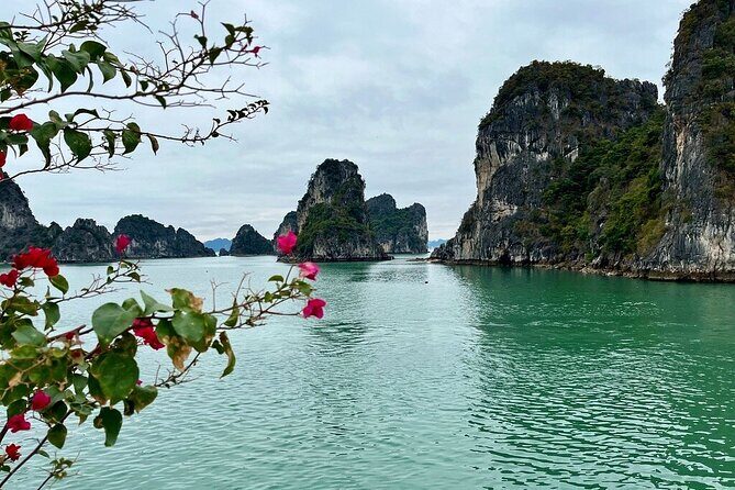 2-Day Guided Bai Tu Long Bay Boutique Cruises From Ninh Binh - Practical Tips and Considerations