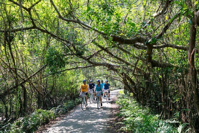 2 Day Hanoi Tour in Sea Coral Cruise - What’s Included and What to Consider