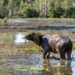2 Day Kakadu Highlights Tour - What Makes This Tour Stand Out?